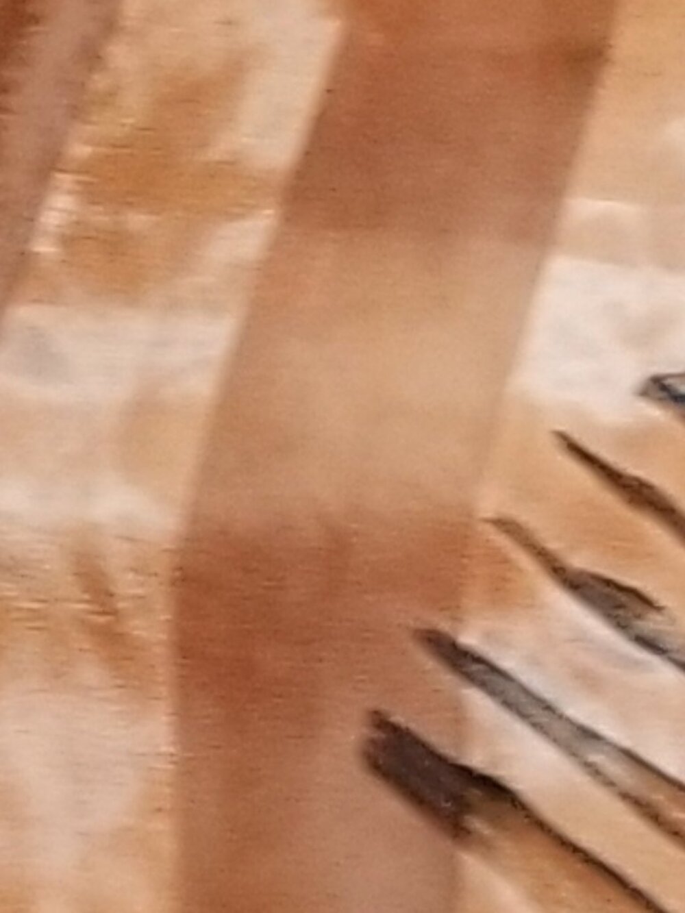 Vintage Long Silky Scarves 3 Women’s Fashion Scarves Animal Print, Abstract Wrap - Picture 3 of 9